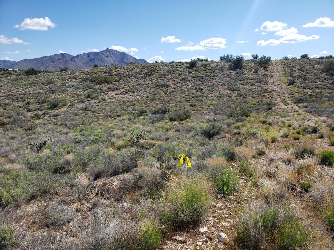 0000 E Salome Dr. #-, Kingman, AZ 86401