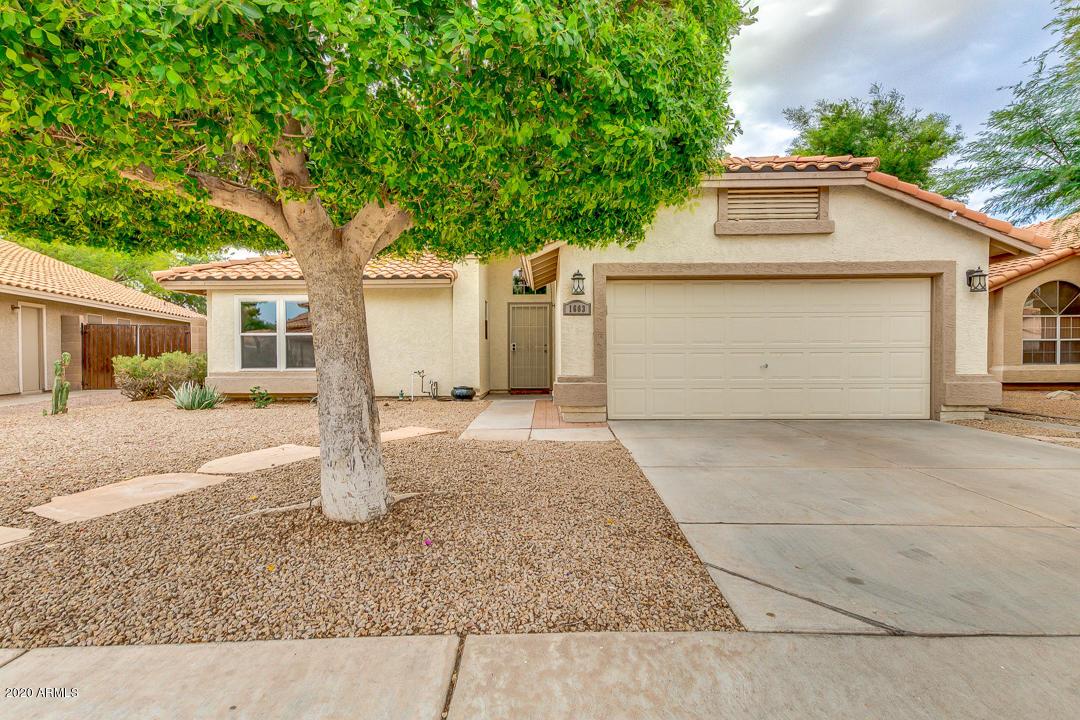 1663 W Boston St., Chandler, AZ 85224