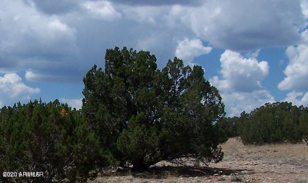 Sec 7 T14n R17e The West 264' #062B, Heber, AZ 85928