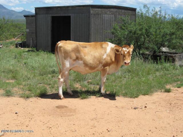 6A Samuel Rd. #-, Hereford, AZ 85615