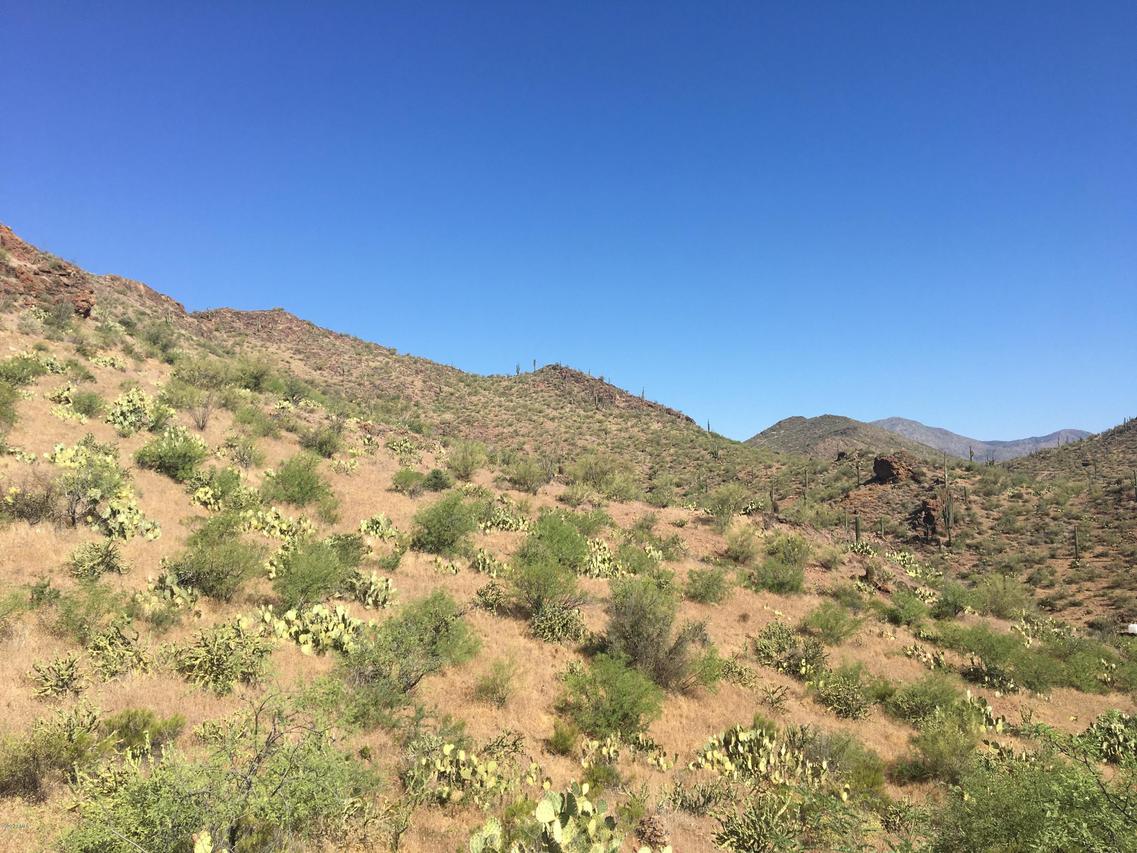 00 N Castle Hot Springs Rd. #4, Morristown, AZ 85342