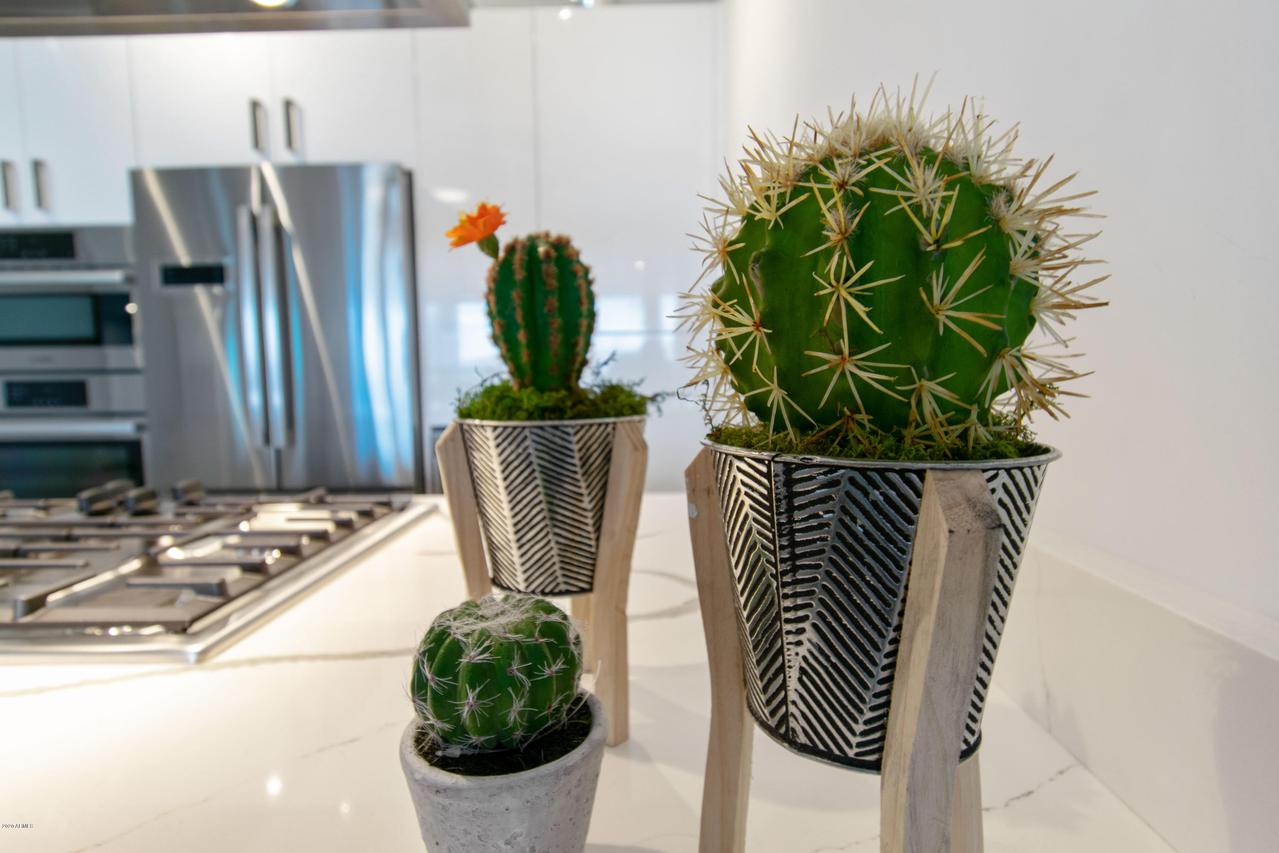 7120 E Kierland Blvd. #705, Scottsdale, AZ 85254