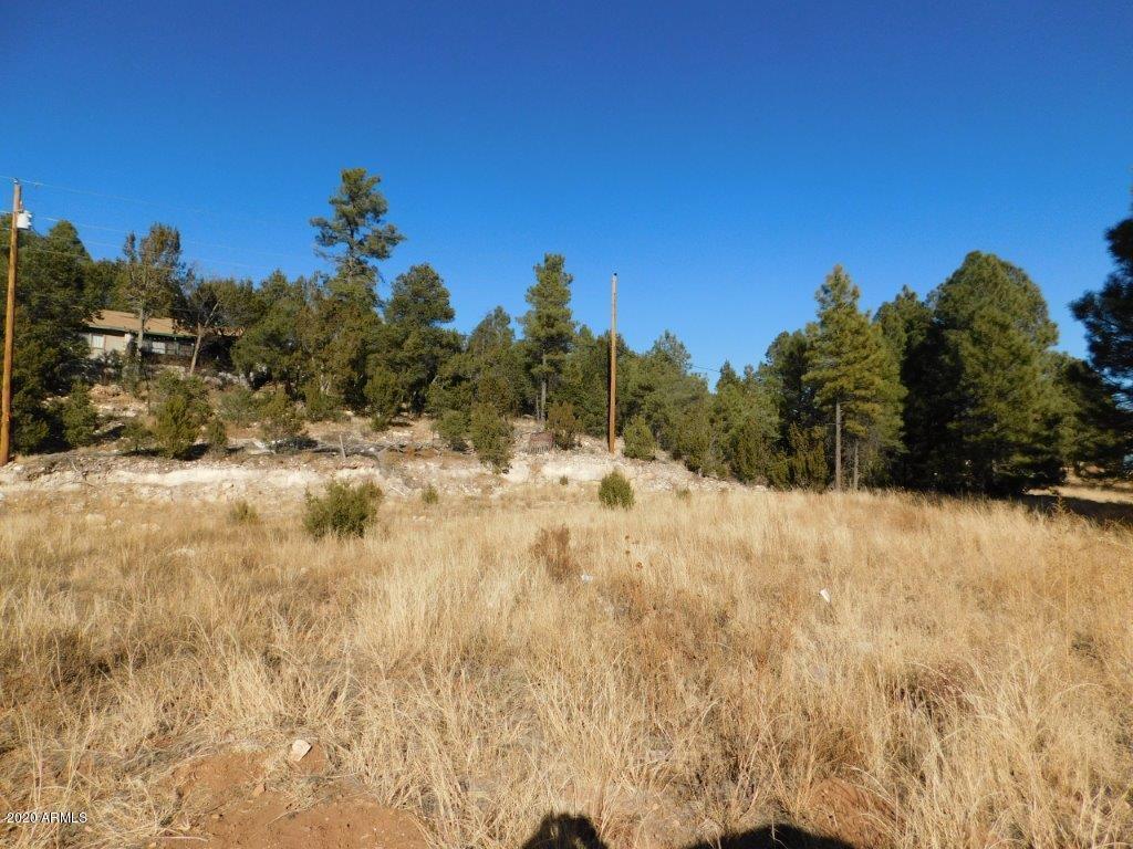 2006 State Road 277 Hwy. #C86 & C87, Heber, AZ 85928