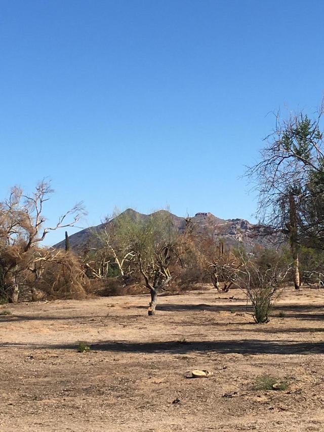 5016 E Lone Mountain Rd. #A, Phoenix, AZ 85031