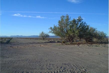 66 W 66th St. #1, Salome, AZ 85348