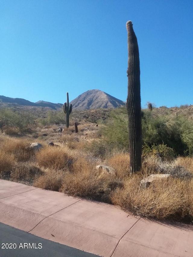 14234 E Grey Owl Tr. #167, Fountain Hills, AZ 85268