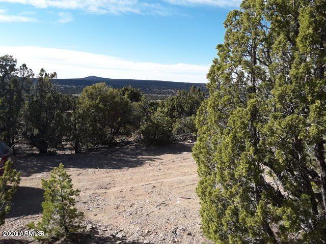 6 County Road 3041 #846, Vernon, AZ 85940
