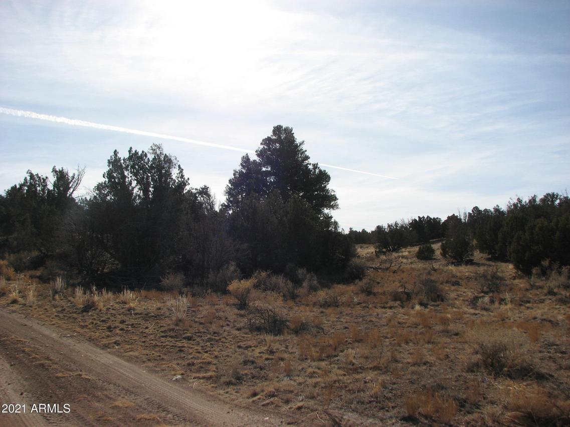 Lot 255 Chevelon Canyon Ranch #255, Heber, AZ 85928