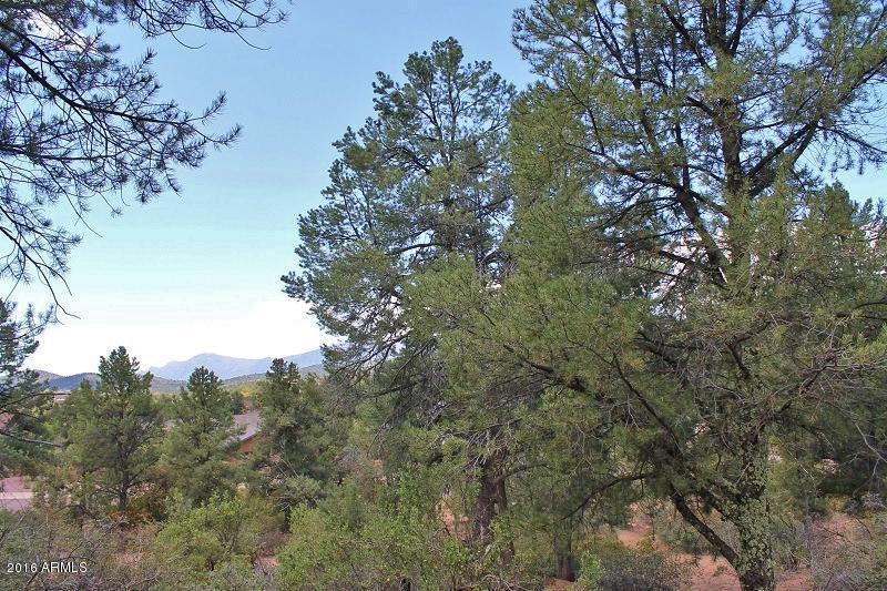 801 N Thunder Ridge Cir. #318, Payson, AZ 85541