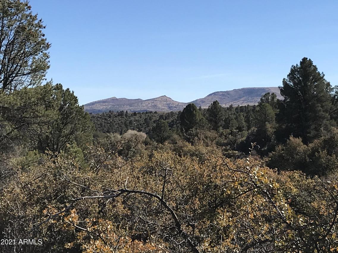 18204 W Buckhorn Dr. #-, Peeples Valley, AZ 86332