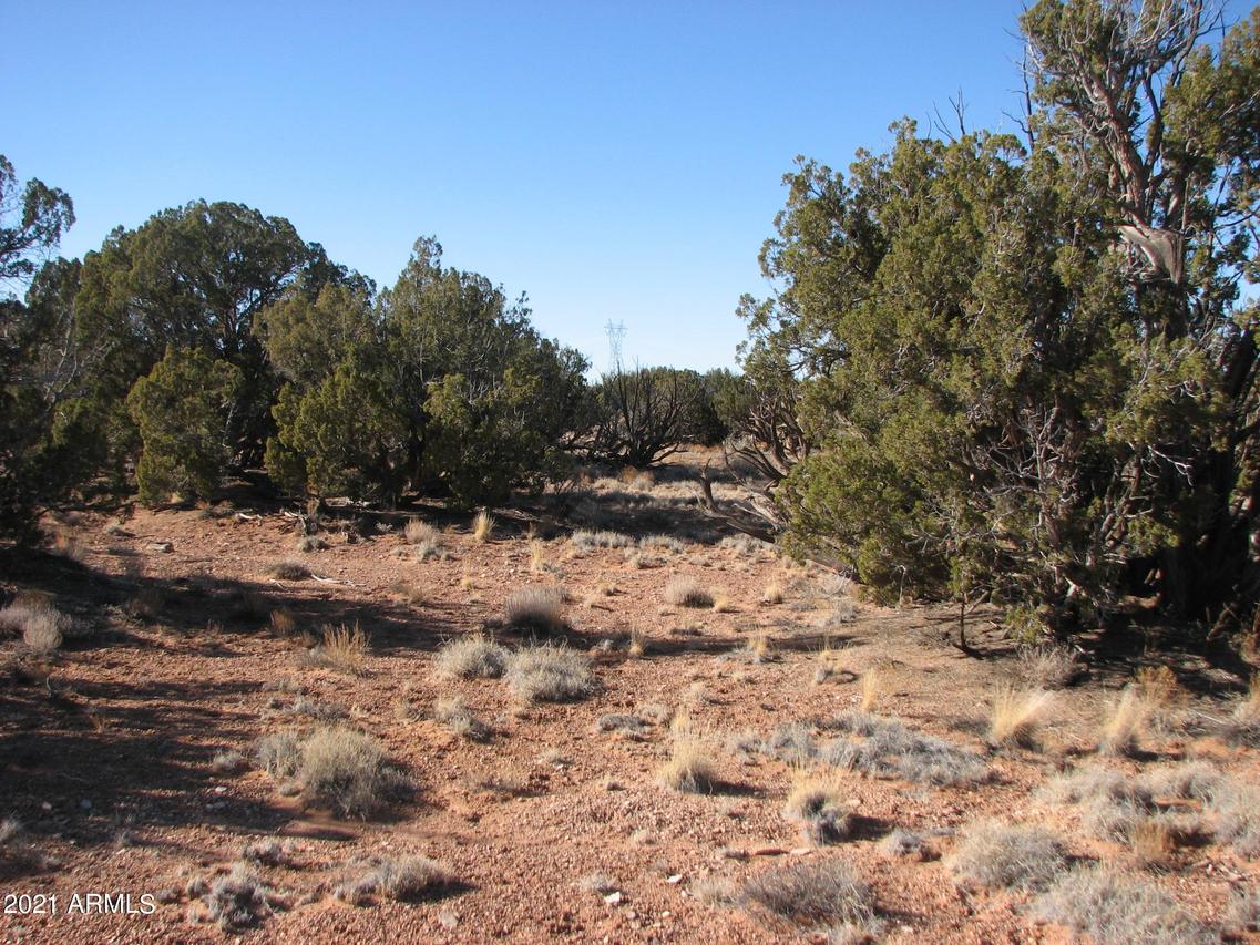 5981 Dark Canyon Dr. #-, Heber, AZ 85928