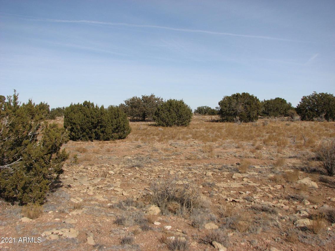 Sec 11 T14nr16enw4se4ne4 #-, Heber, AZ 85928