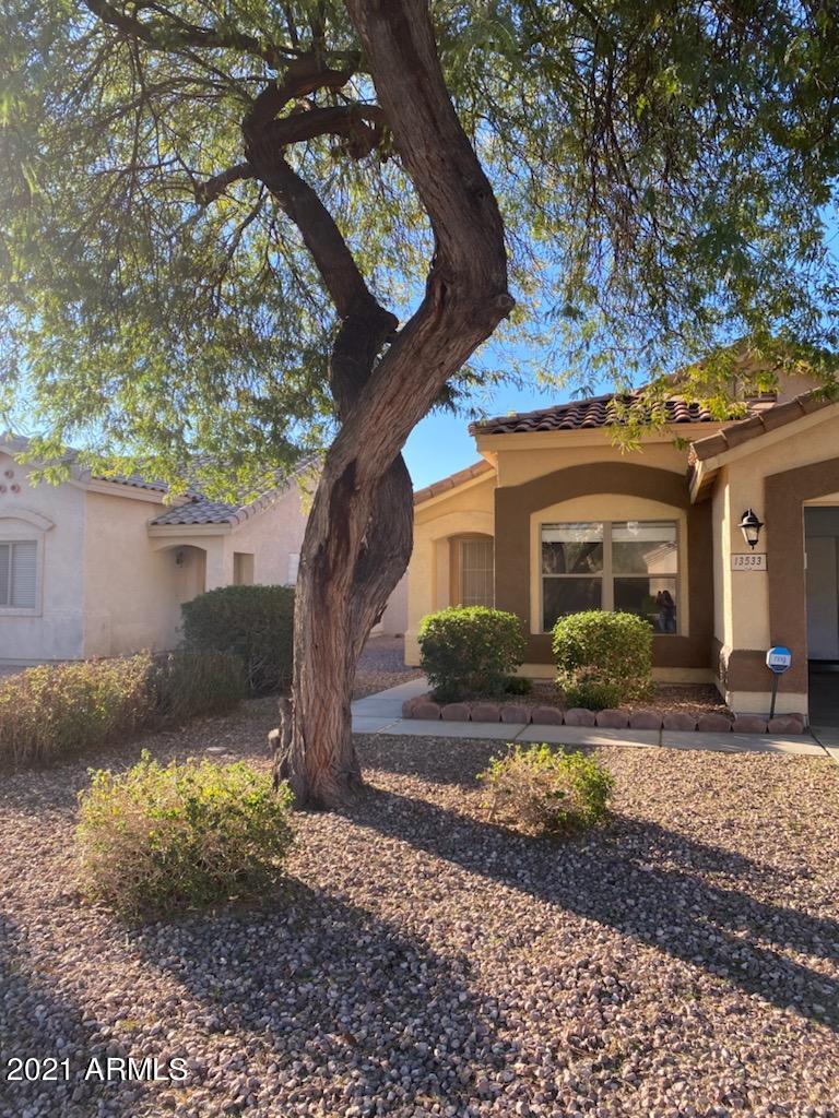 13533 W Young St., Surprise, AZ 85374
