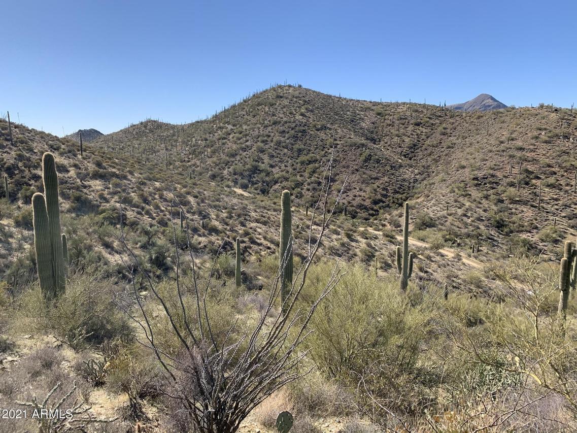 44901 N Cottonwood Canyon Rd. #-, Cave Creek, AZ 85331