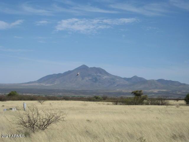 TBD E Los Amigos Tr. #E, Hereford, AZ 85615