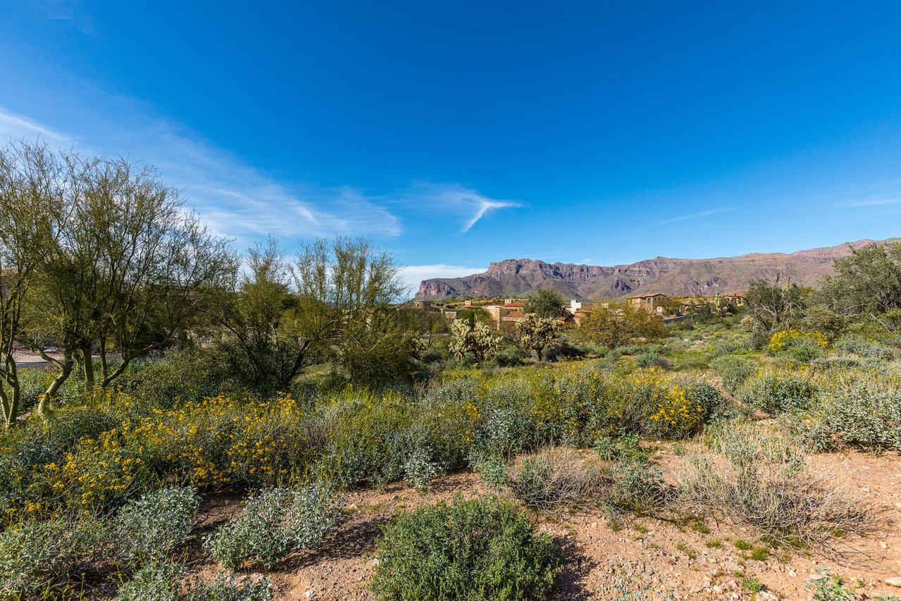 4121 S Camino De Vida #114, Gold Canyon, AZ 85118