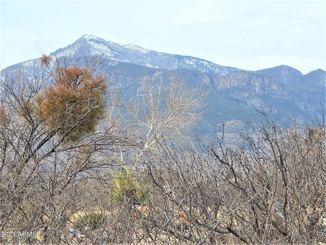 TBD E Calle Lobo #707, Hereford, AZ 85615