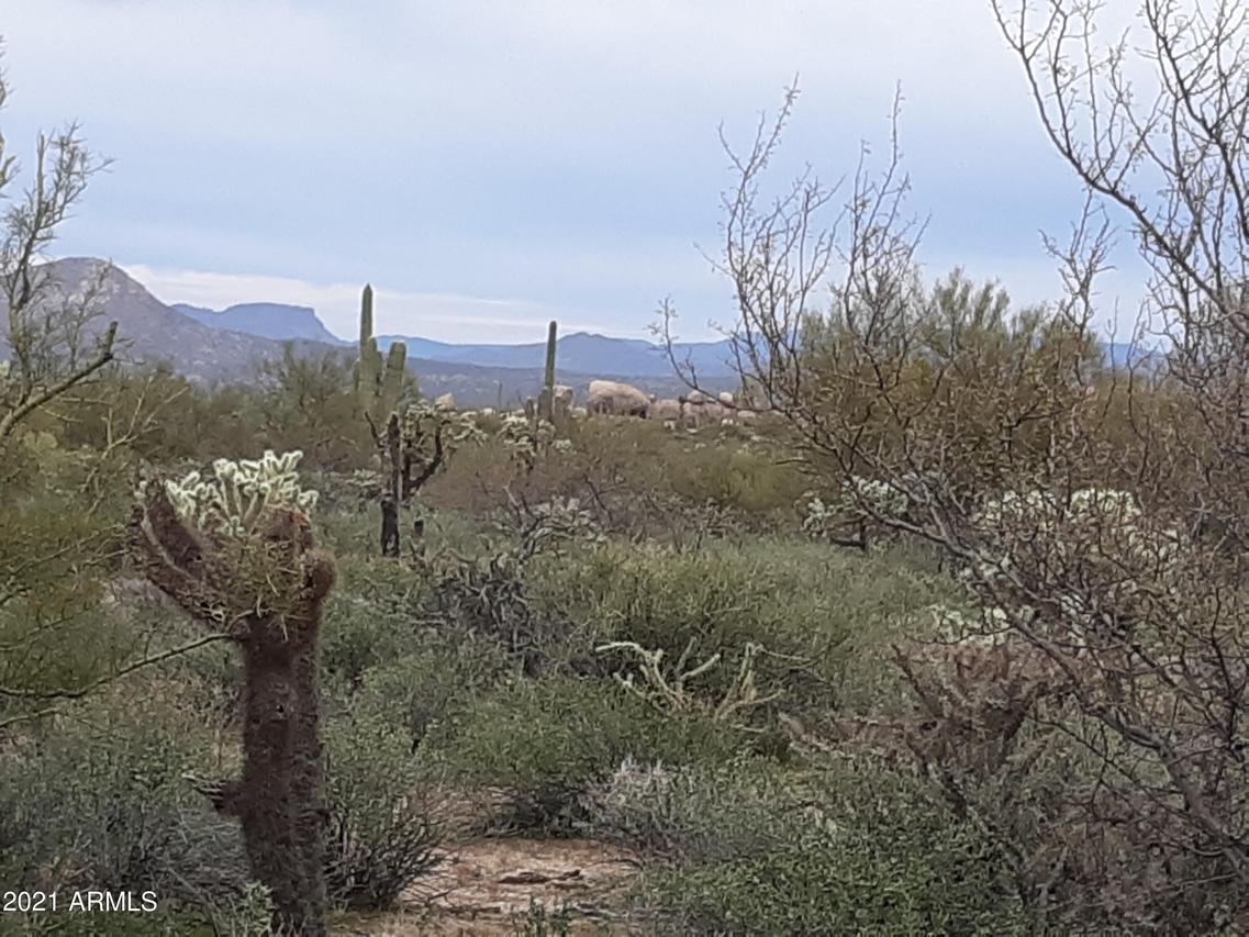 1.5 W Cochran Rd. #Lot 2, Florence, AZ 85132