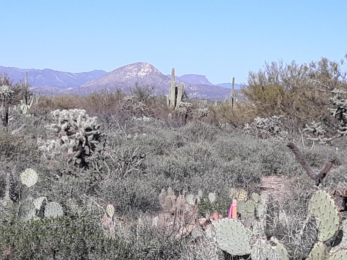 1.5 W Cochran Rd. #Lot 4, Florence, AZ 85132