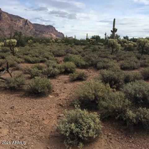 2409 S Tonto View #4, Gold Canyon, AZ 85118