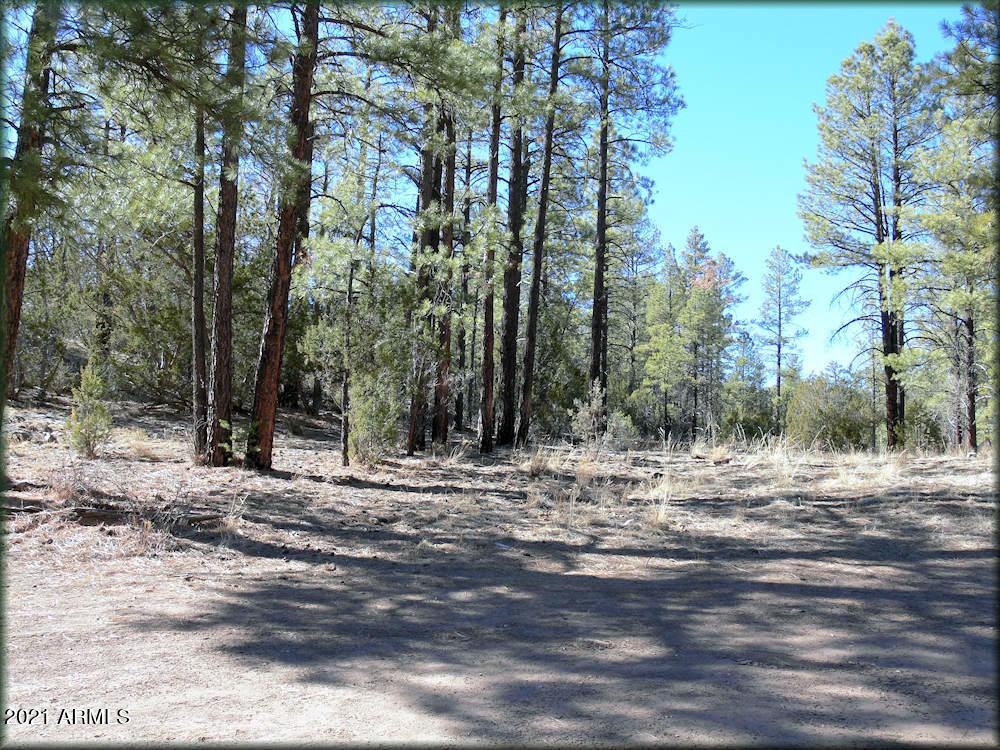 1658 Elk Canyon Rd. #085 A, Heber, AZ 85928