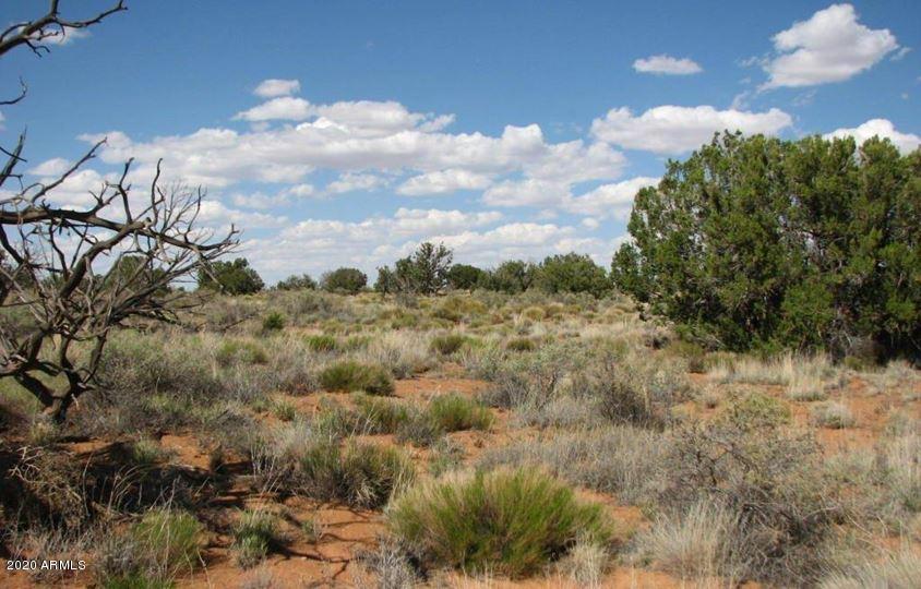 Lot 426 Chevelon Canyon Ranch Rd. #426, Heber, AZ 85928