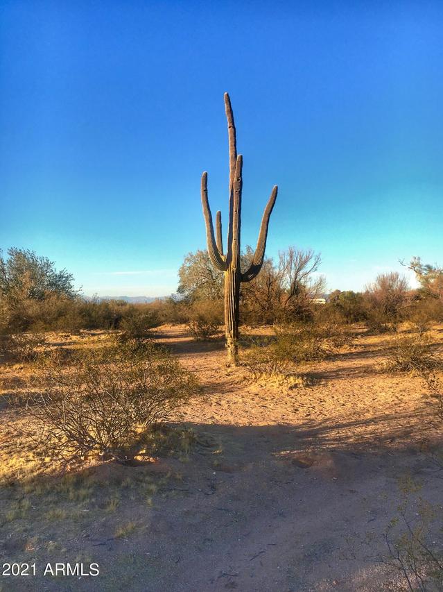 Ld Ranch Rd. #Lots 007A & 008A, Florence, AZ 85132