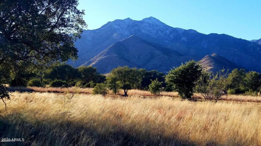 Lot 29 S Bryerly Dr. #29, Hereford, AZ 85615