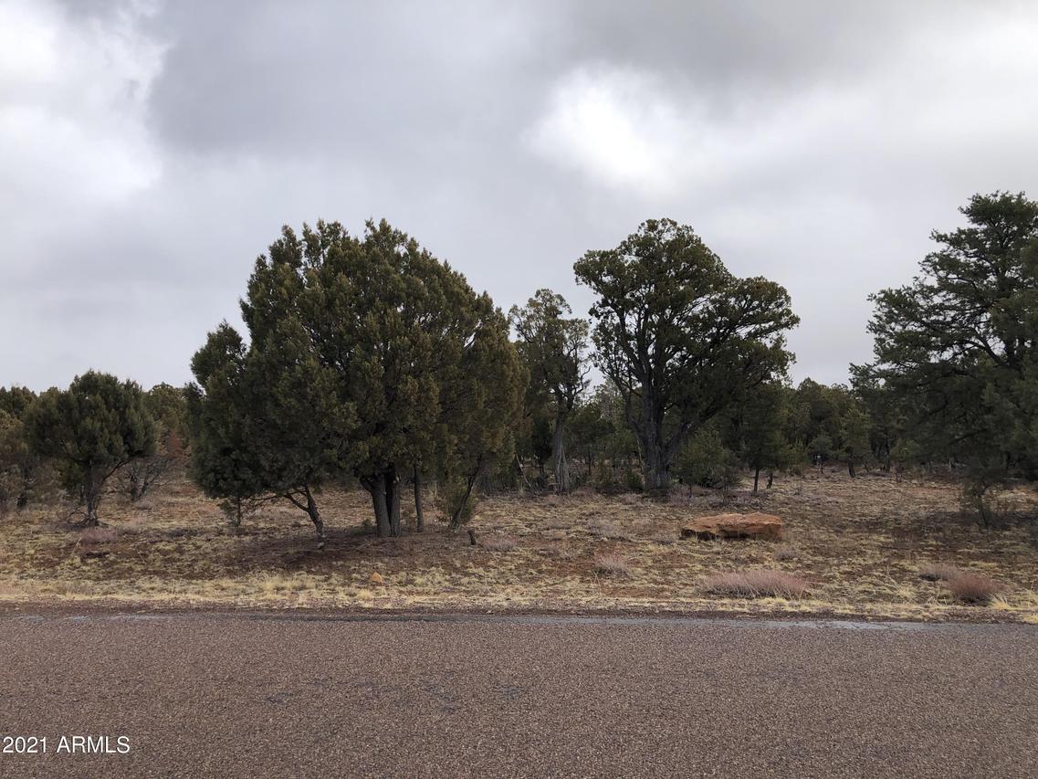 3443 Riata Rd. #76, Heber, AZ 85928