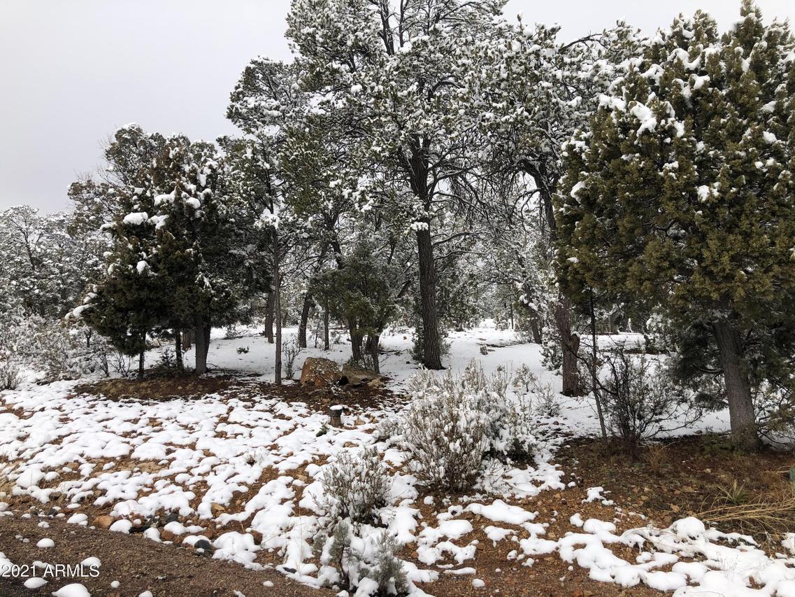 1518 Foxtail Ln. #3, Heber, AZ 85928