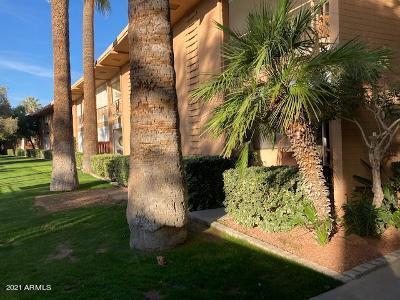 6125 E Indian School Rd. #175, Scottsdale, AZ 85251