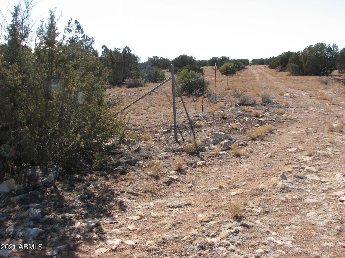 1131 Buffington Hill Rd. #-, Heber, AZ 85928