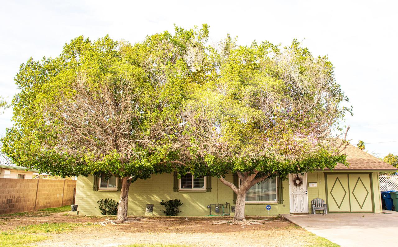 1360 E Nielson Ave., Mesa, AZ 85204