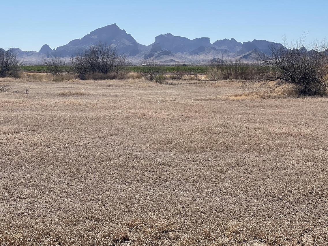 N 487th Ave. #18, Tonopah, AZ 85354