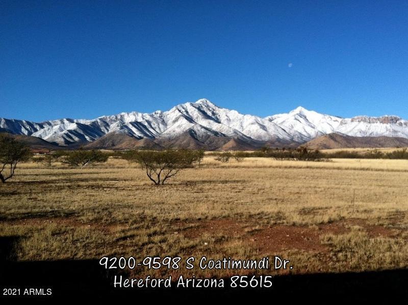 TBD S Coatimundi Dr. #-, Hereford, AZ 85615