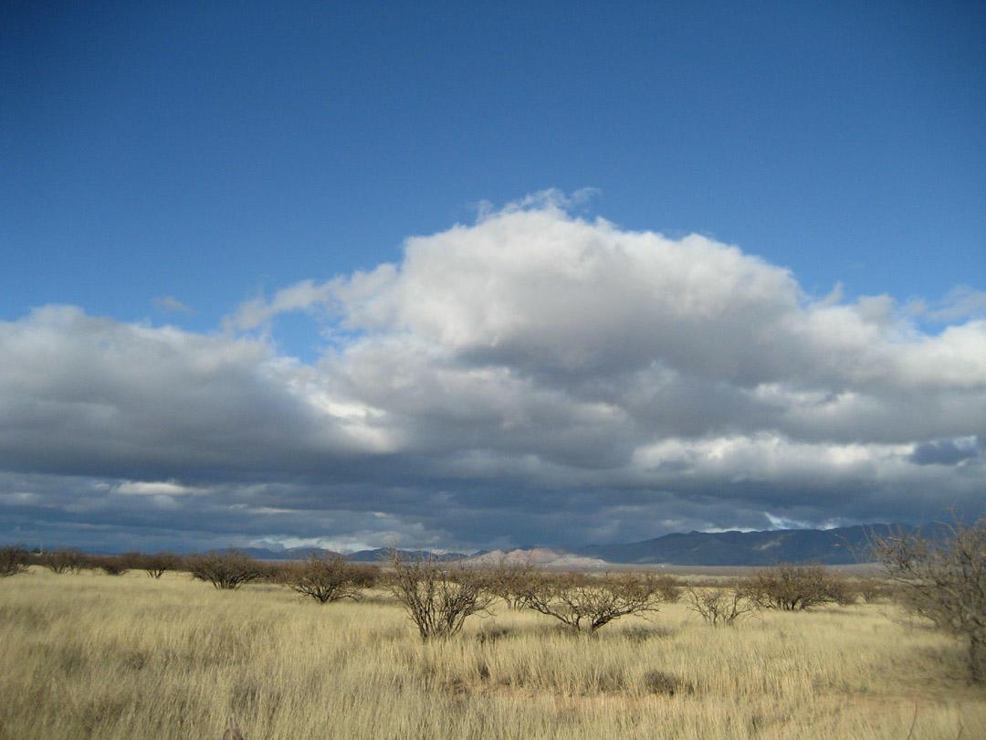 TBD E Boundary Rd. #5, Hereford, AZ 85615