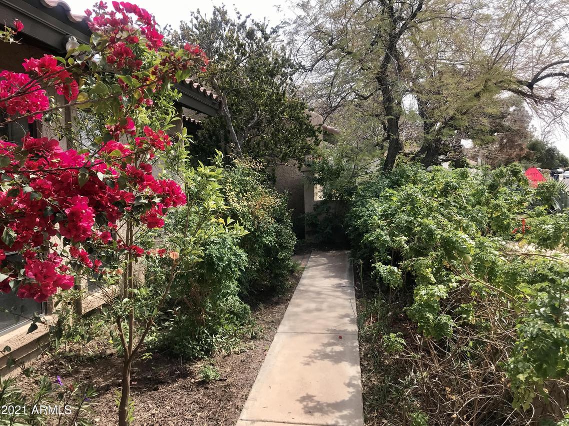 2517 S Forest Ave., Tempe, AZ 85282