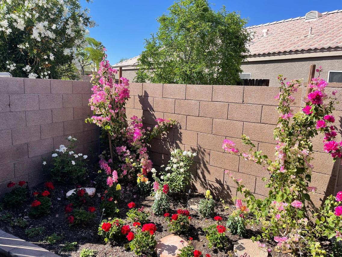 14242 S 47th St., Phoenix, AZ 85044