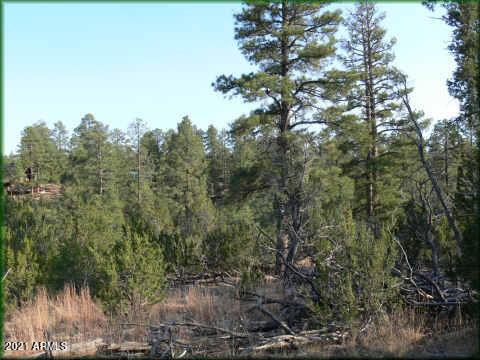 TBD Elk Rd. #29COME4, Heber, AZ 85928