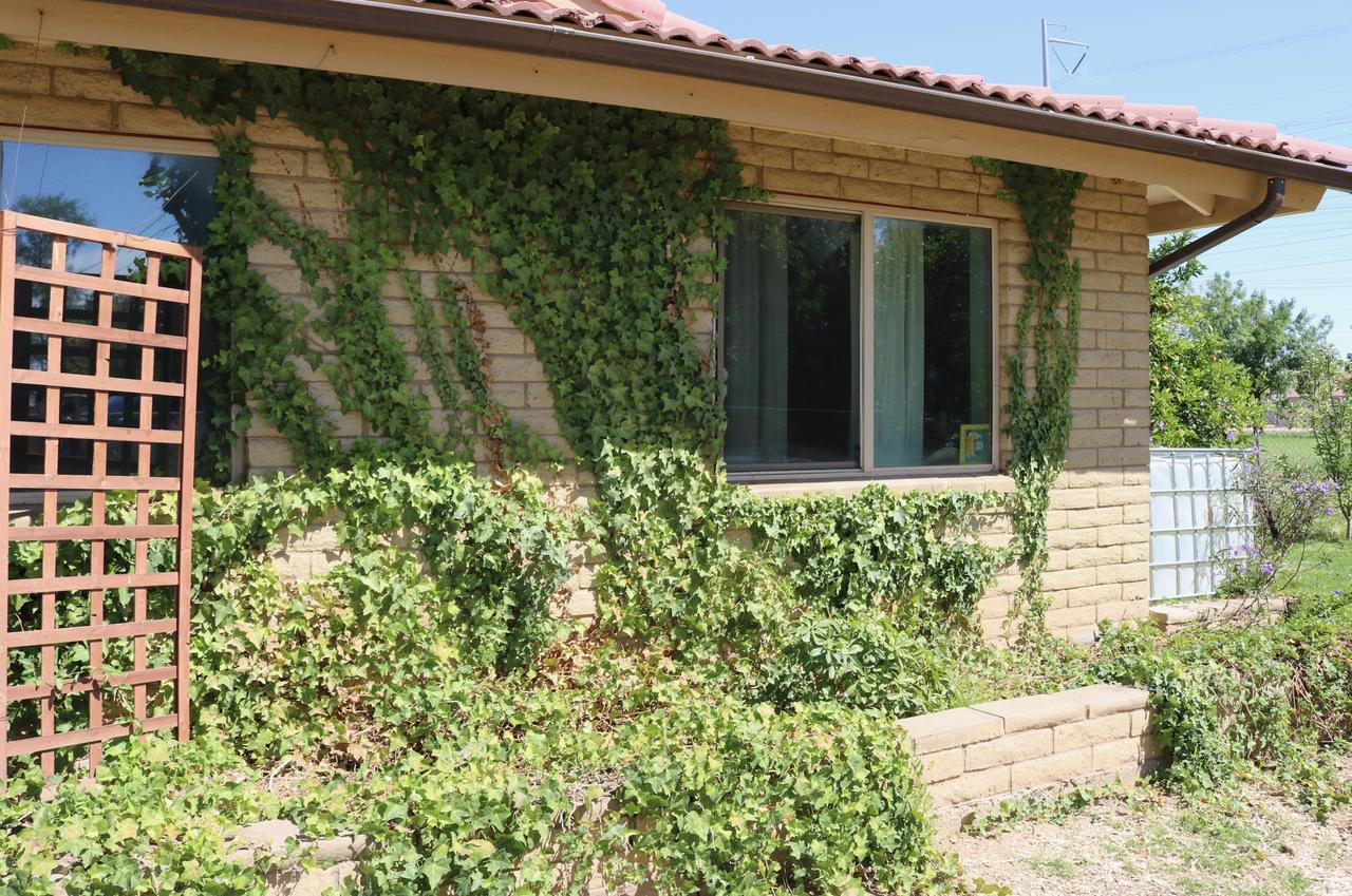 3535 N Nevada St., Chandler, AZ 85225