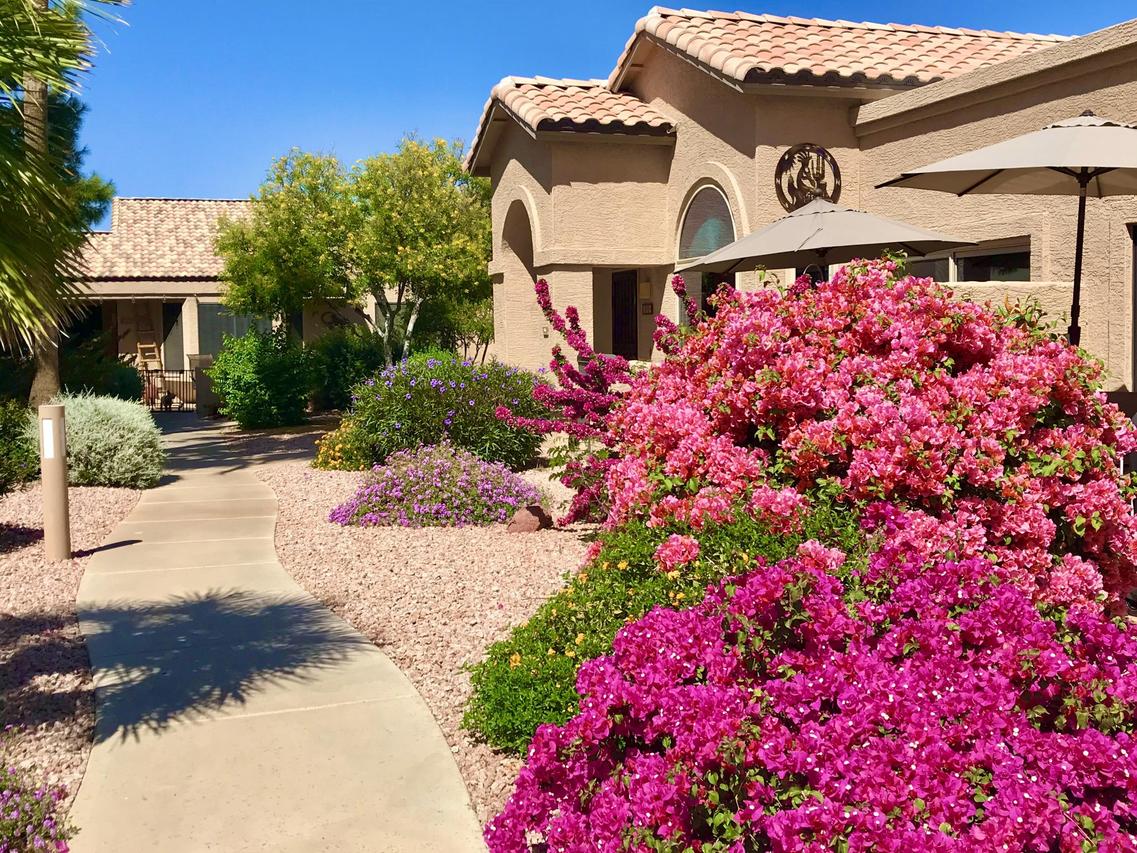 14300 W Bell Rd. #416, Surprise, AZ 85374