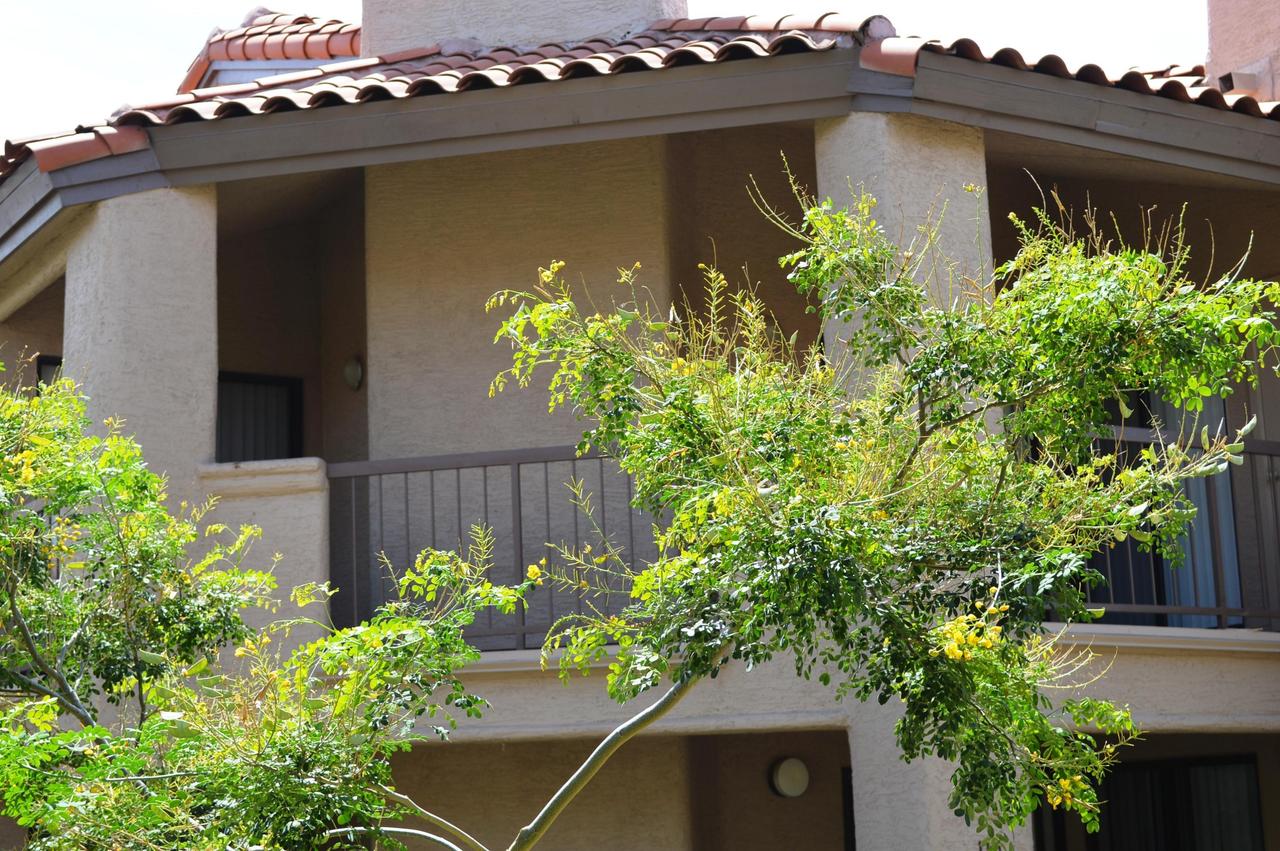 9445 N 94th Pl. #215, Scottsdale, AZ 85258