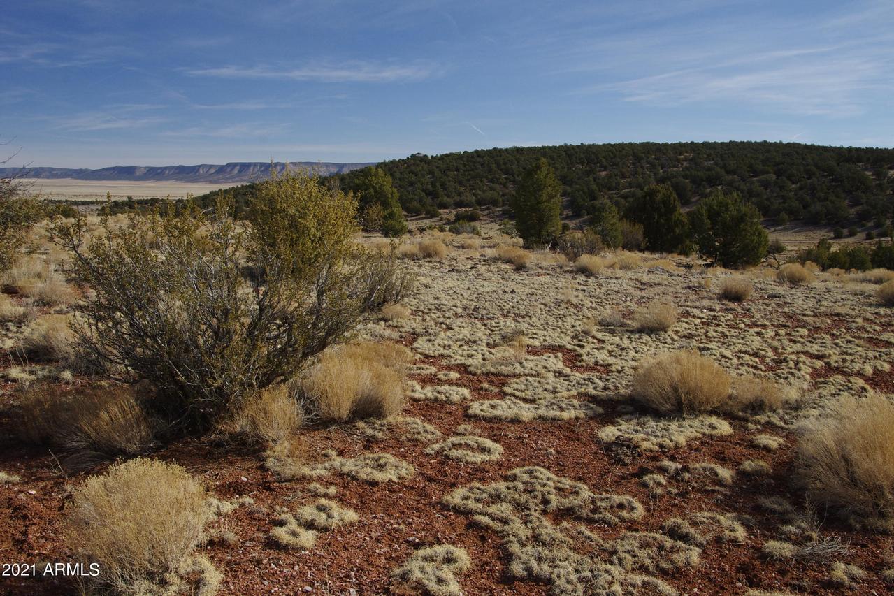 412 N Tracker Tr. #-, Seligman, AZ 86337