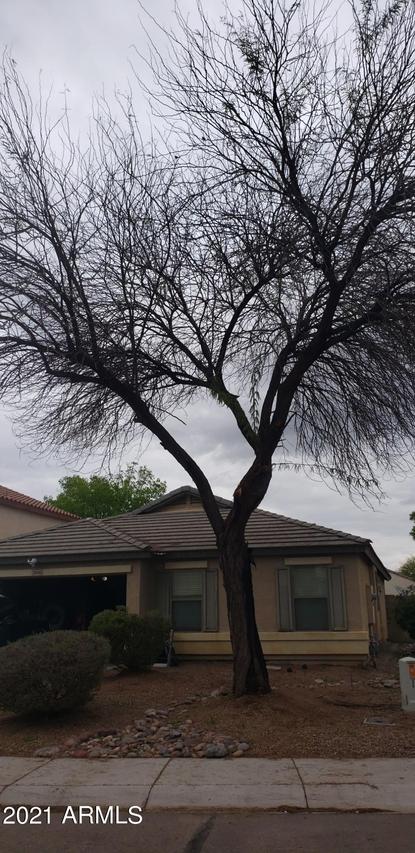 38345 N Rusty Ln., San Tan Valley, AZ 85140