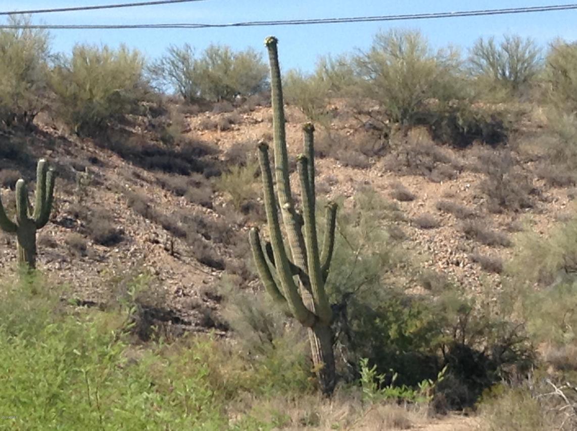 50241 W Grand Ave. #-, Wickenburg, AZ 85390