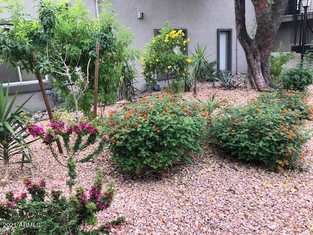 4114 E Calle Redonda Rd. #52, Phoenix, AZ 85018