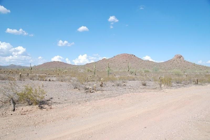 14401 W Dynamite Blvd., Surprise, AZ 85387