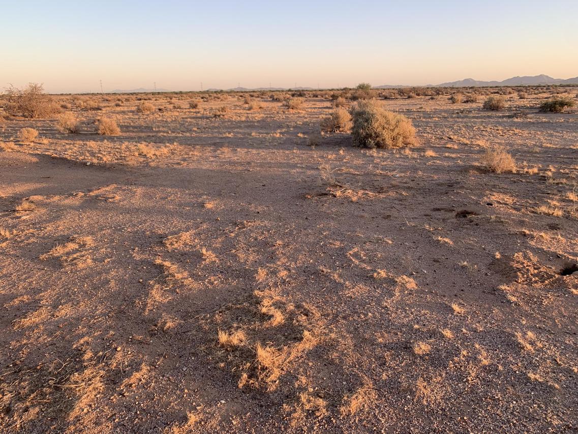 5325 N Coconino Dr. #6, Eloy, AZ 85131