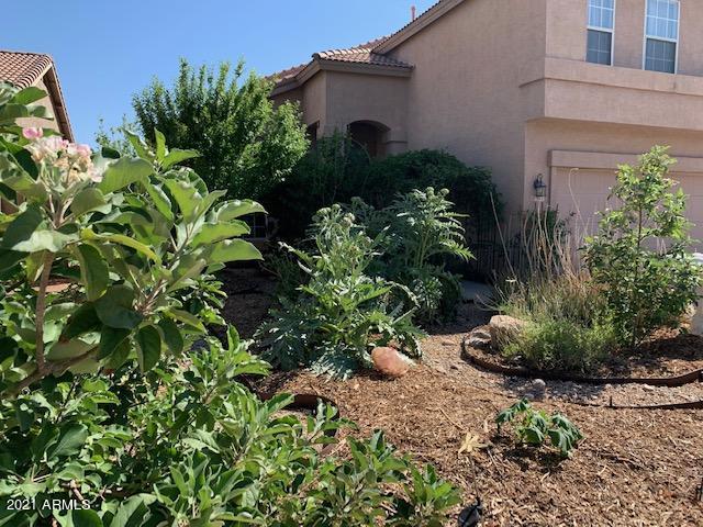 1467 E Aspen Ave., Gilbert, AZ 85234