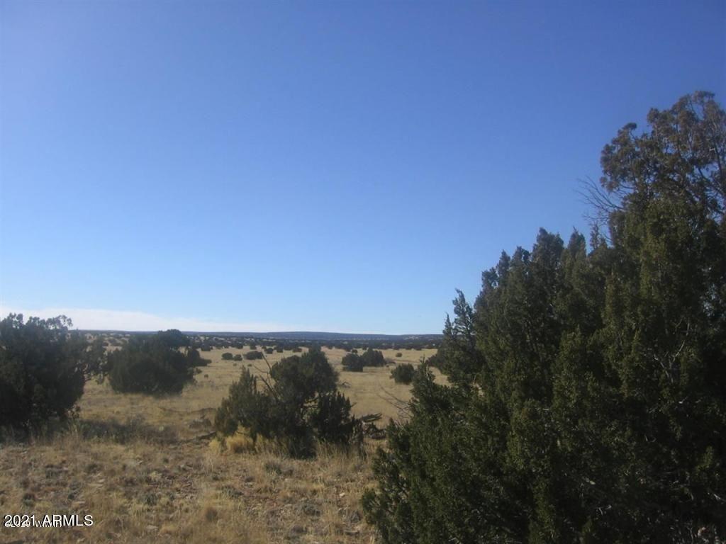 Sec 6 Chevelon Retreat #-, Heber, AZ 85928